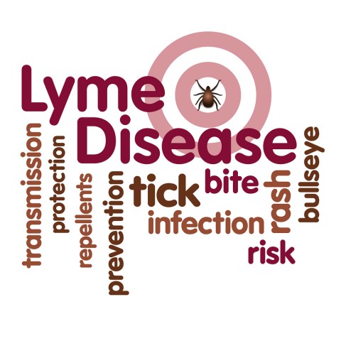 bigstock-Lyme-Disease-Tick-Word-Cloud-47768077-480x480.jpg
