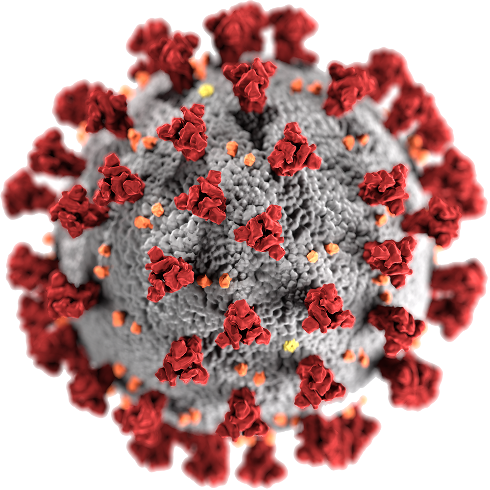 COVID-19 Molecule Coronavirus