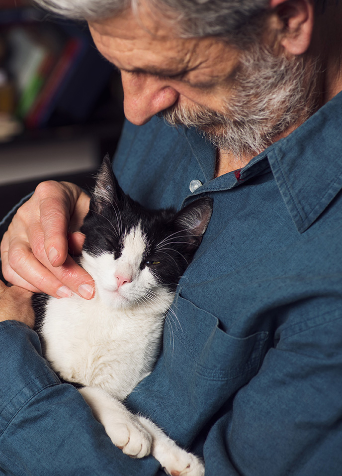 isolation emotional health support senior man cat