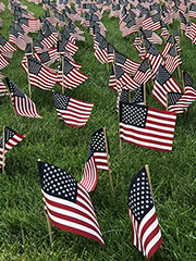 USA Flags Memorial Day
